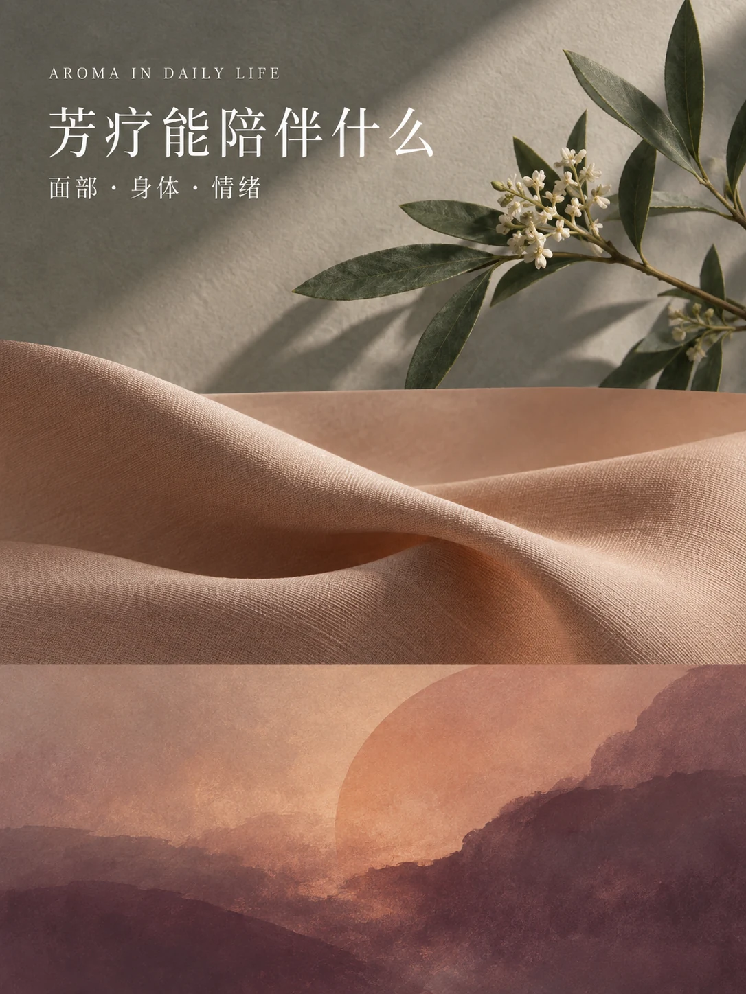 芳疗的面部养护、身体舒缓与情绪调节